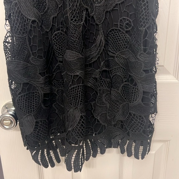 Express lace dress - Picture 4 of 4